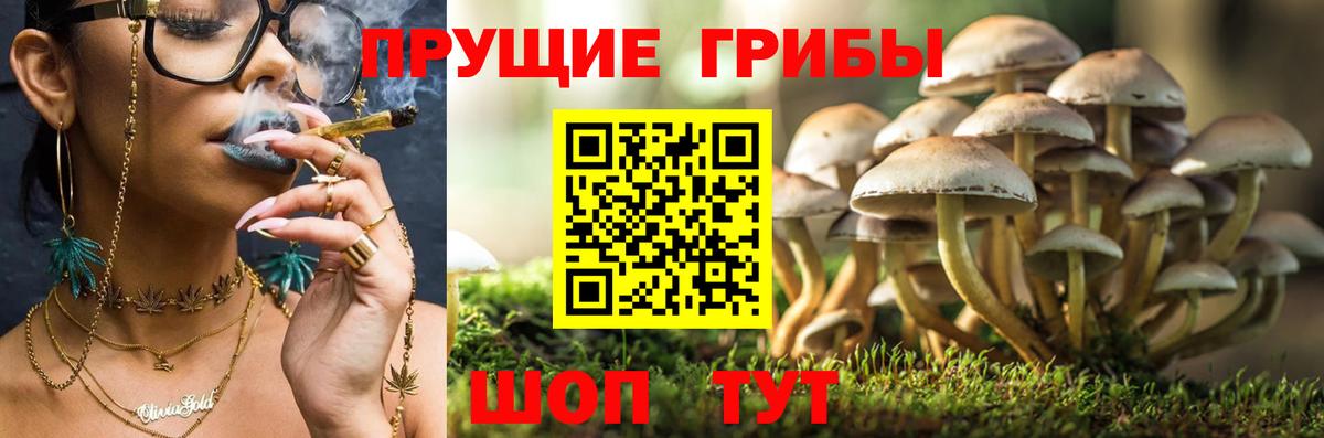 Псилоцибиновые грибы прущие грибы  Галлюциногенные грибы MAGIC MUSHROOMS  Вход с VPN  Майский 